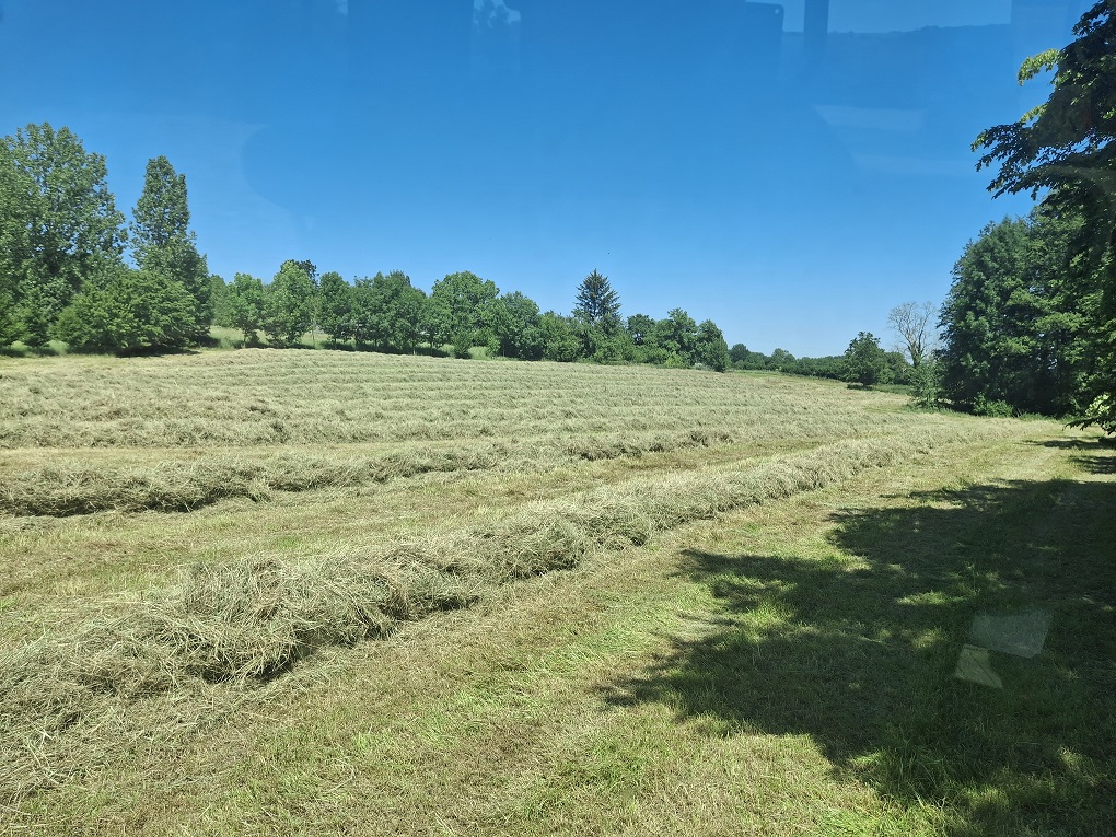 Vente directe à la ferme foin de qualité dans l'Aisne